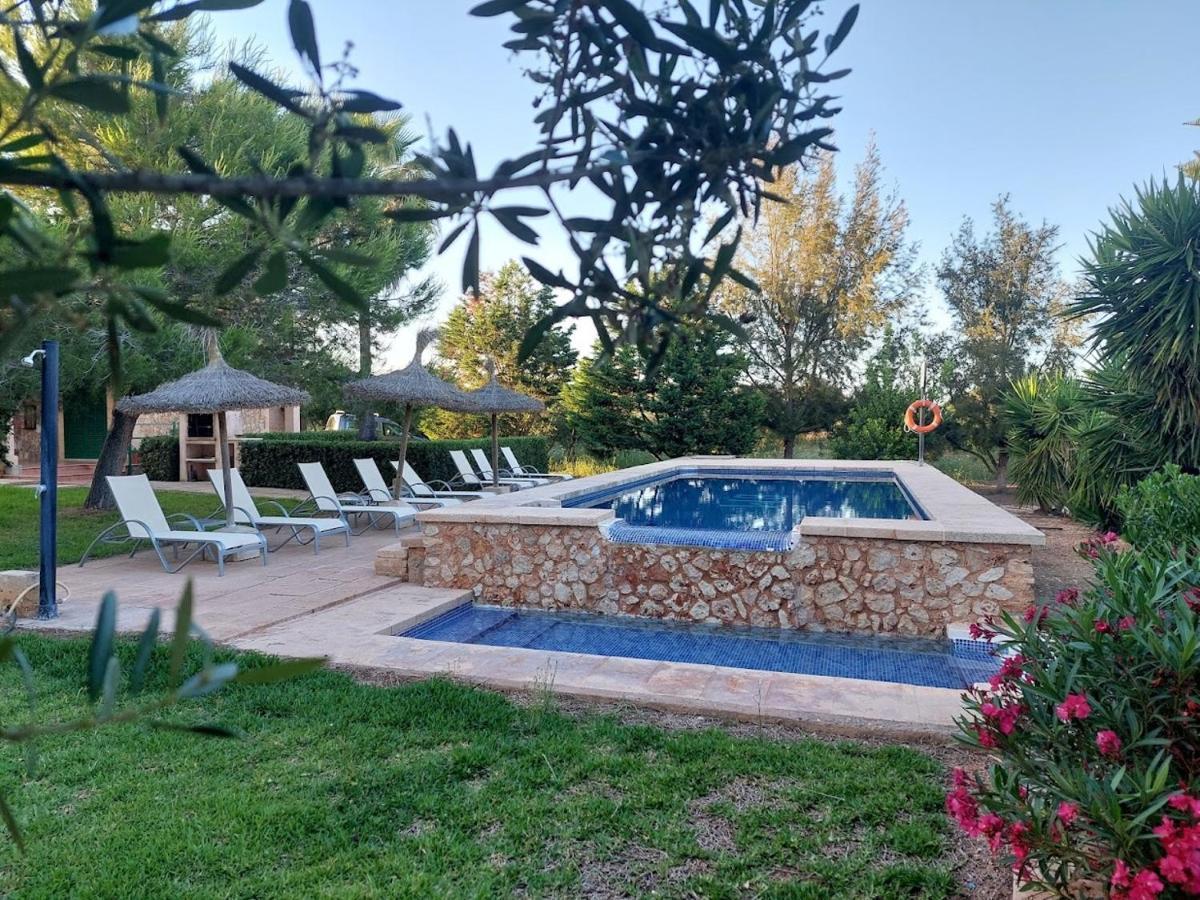 Els Girasols Winter Holiday home